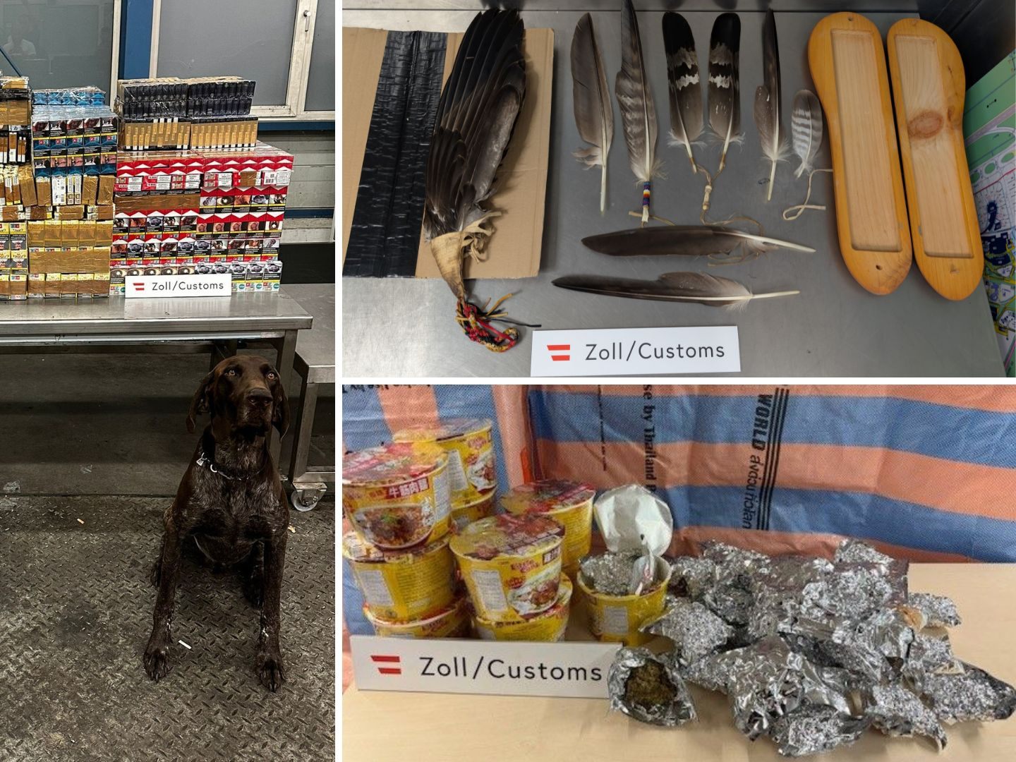 Der Zoll sicherte unter anderem Bargeld, Schmuck, Drogen und geschützte Tiere.