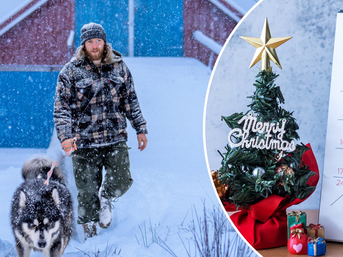 Der 100-jährige Kalender deutet auf Schnee vor Weihnachten 2025 hin – aber an den Feiertagen selbst soll es laut Prognose trocken und windig bleiben.