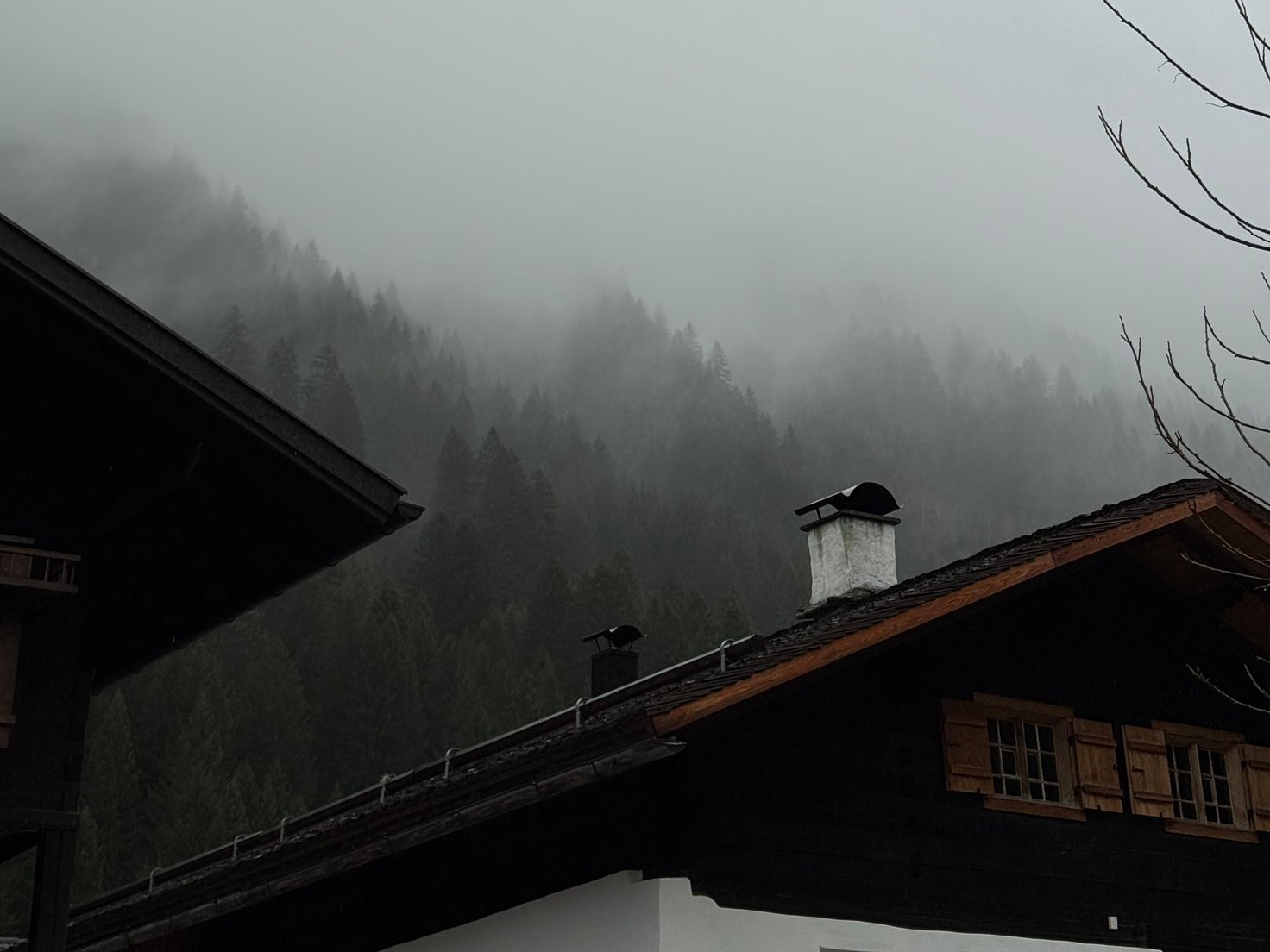 Das Suchgebiet rund um den Wiegensee ist in dichten Nebel gehüllt.
