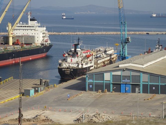 Weil Ohrmarken fehlten, durften 2900 Rinder nicht entladen werden. Nach Wochen an Bord kehrt das Schiff jetzt nach Südamerika zurück – viele Tiere sind bereits tot.