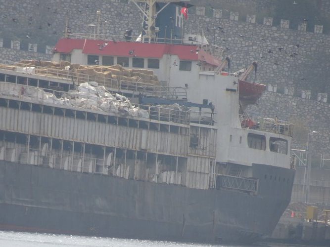 Ein Frachter mit 2901 Rindern aus Uruguay sitzt vor der türkischen Küste fest.