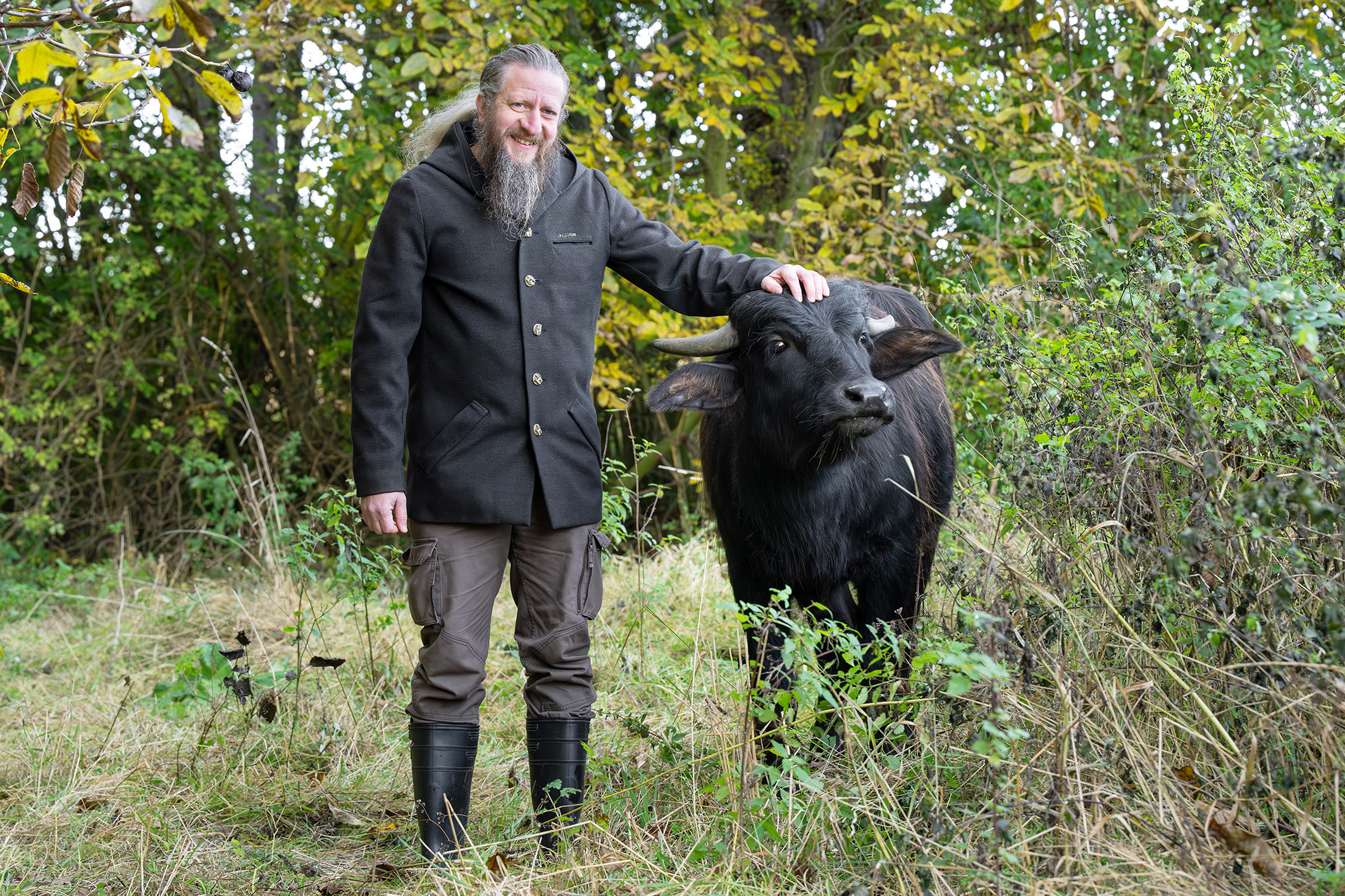 Wasserbüffel aus dem Wiener Tiergarten Schönbrunn im Naturpark Leiser Berge im Einsatz