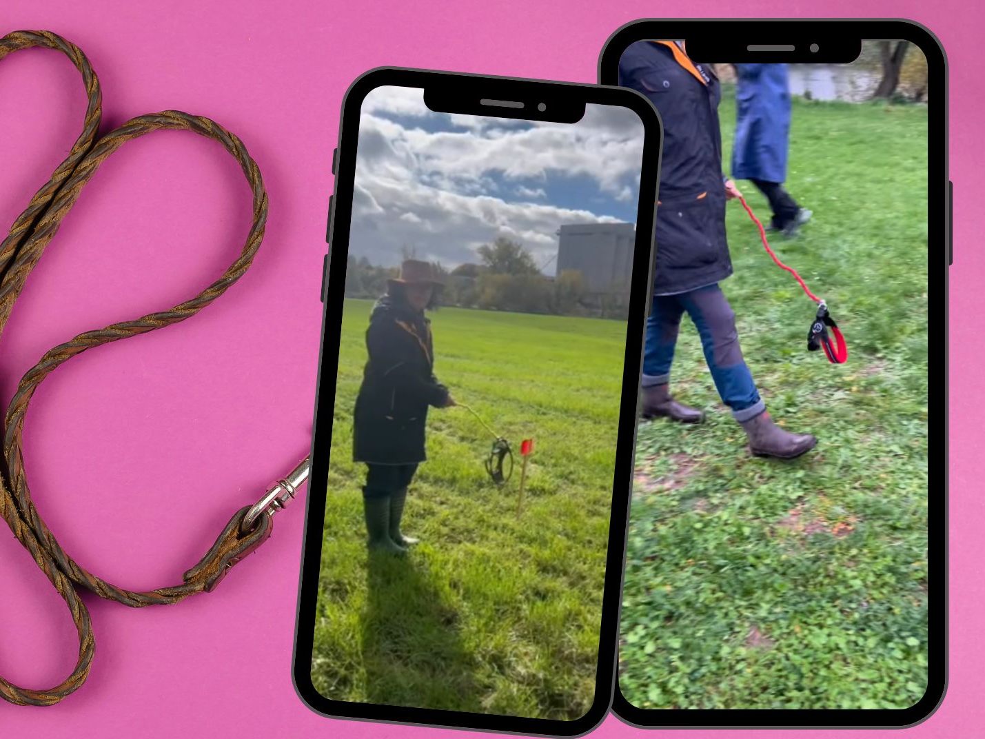 Der neue Trend aus Deutschland: Hobby Dogging.