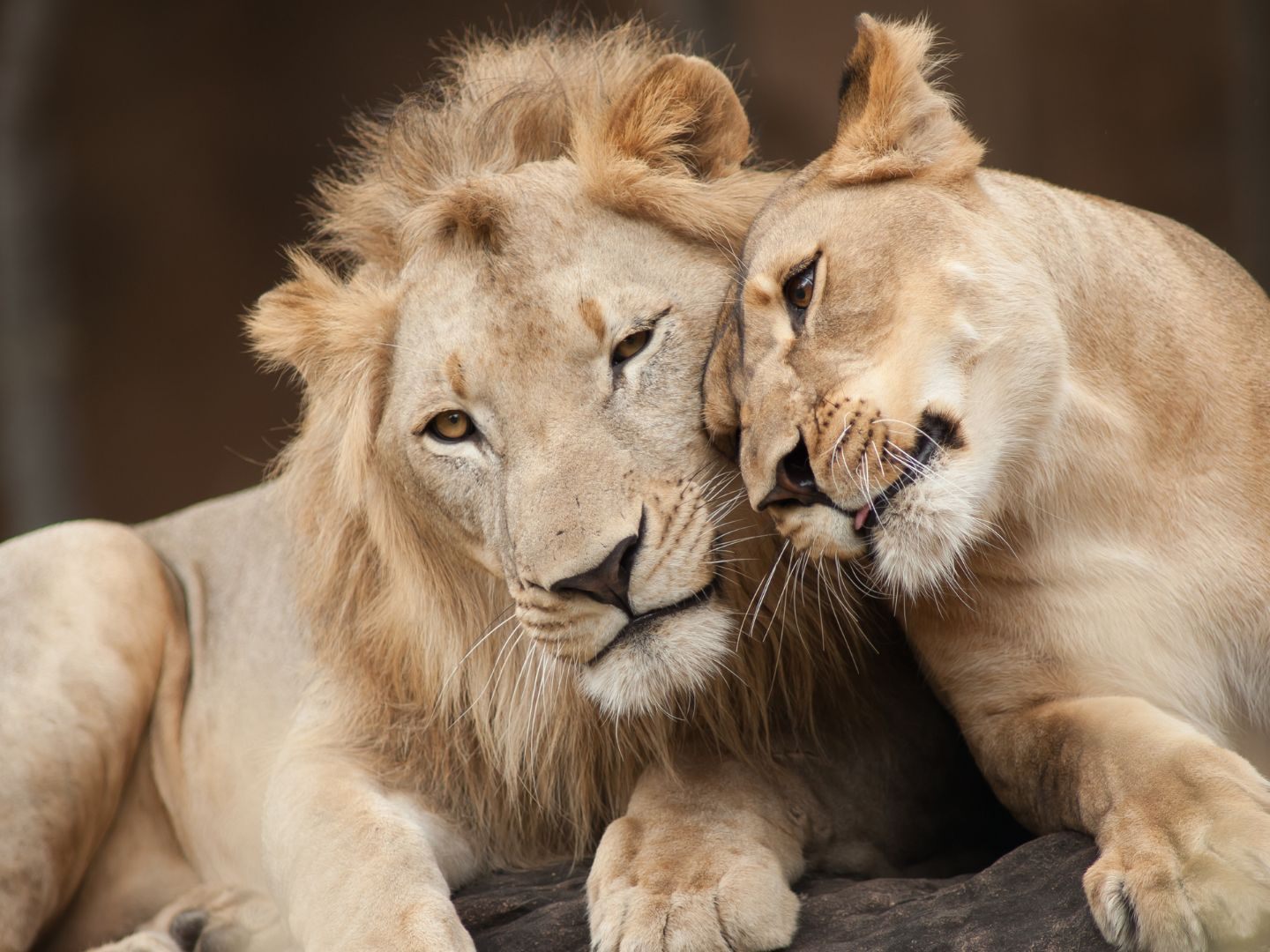 Anlage muss wegen finanzieller Probleme schließen. (Symbolbild)