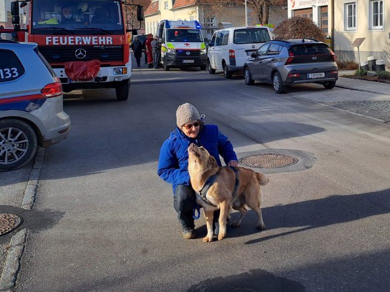 Hund "Luxi" fand das abgängige Mädchen.