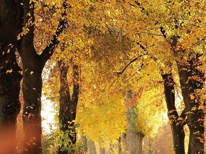 Der Hochdruckeinfluss sorgt für ruhiges Herbstwetter.