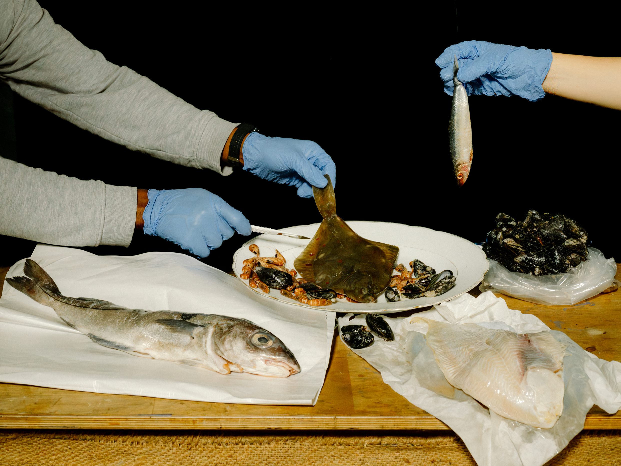 Nach dem Greenpeace-Test testen Supermärkte ihr Fischsortiment.