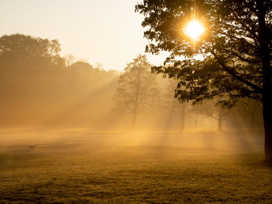 Der November hatte viele Sonnenstrahlen im Gepäck
