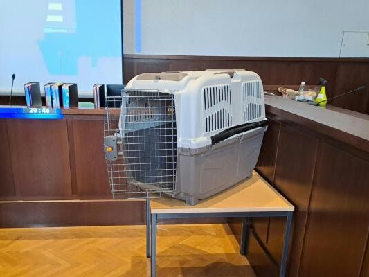 Eine weitere Expertise wird noch eingeholt