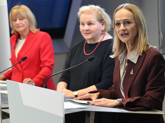 Expertinnen für Altersgrenze in sozialen Medien