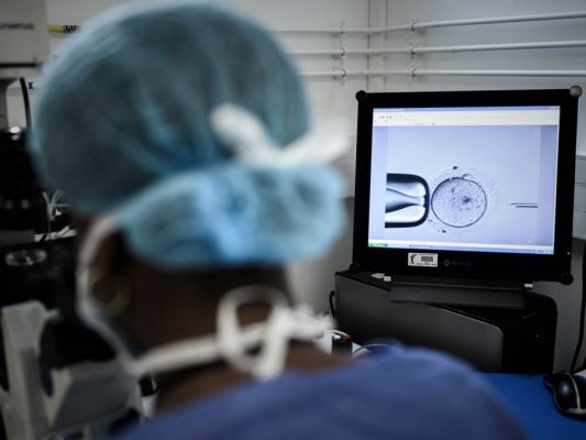 11.962 Frauen ließen insgesamt 22.218 Behandlungen durchführen