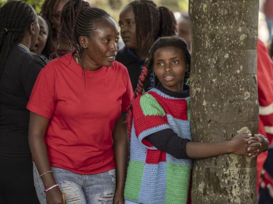 Neuer Rekord im Baumumarmen