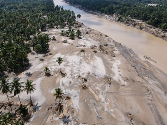 Lebensraum der seltensten Menschenaffen der Welt schwer beschädigt