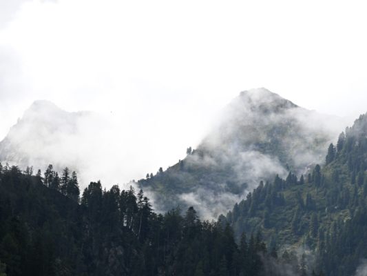 Suchaktion im Nebel verlief erfolgreich