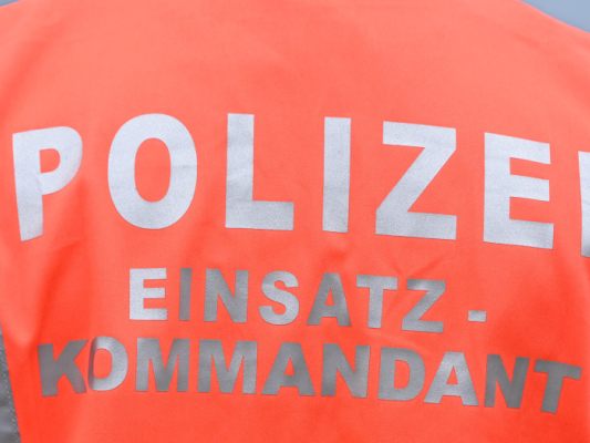 Der Lenker war laut Polizei alkoholisiert
