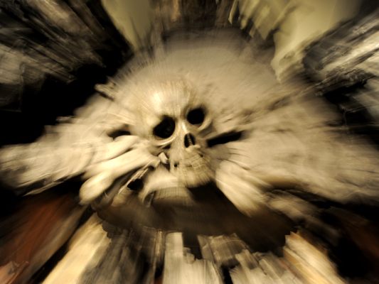 Grausiger Handel mit Leichenteilen auf der Uni Harvard aufgedeckt