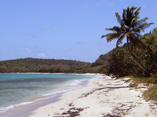 Funde auf kleinen Inseln südlich von Guadeloupe