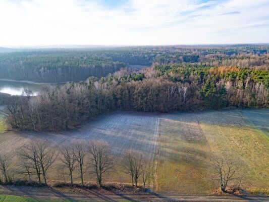 Das Gesetz gegen Abholzung ist weniger streng als geplant
