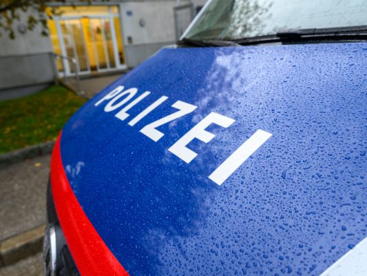 Die Polizei schnappte den Dieb in dieser Woche