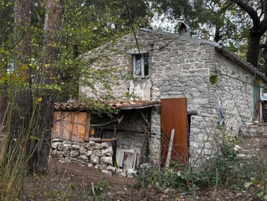 Das Haus der Familie befindet sich mitten im Wald