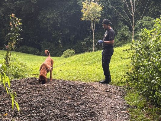 Leichen wurden am Grundstück entdeckt