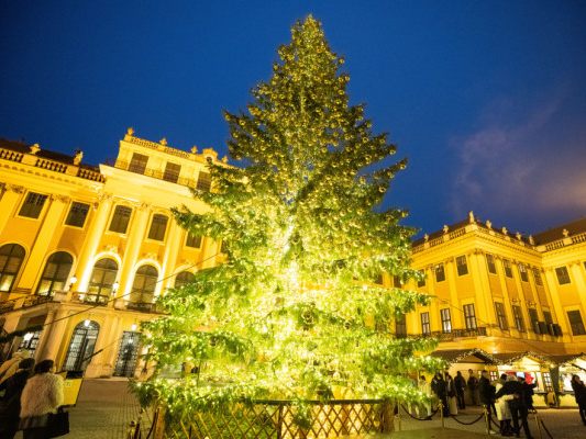 Christkindlmarkt vor dem Schloss Schönbrunn