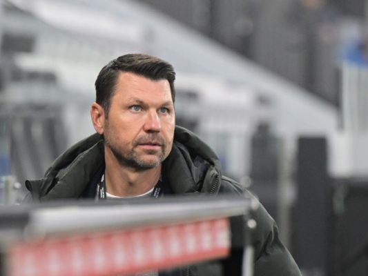 Markus Katzer sucht Stöger-Nachfolger und will als Sportchef bleiben