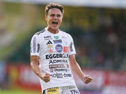 Die Einwechslung von Fridrikas beschäftigt die Bundesliga weiter