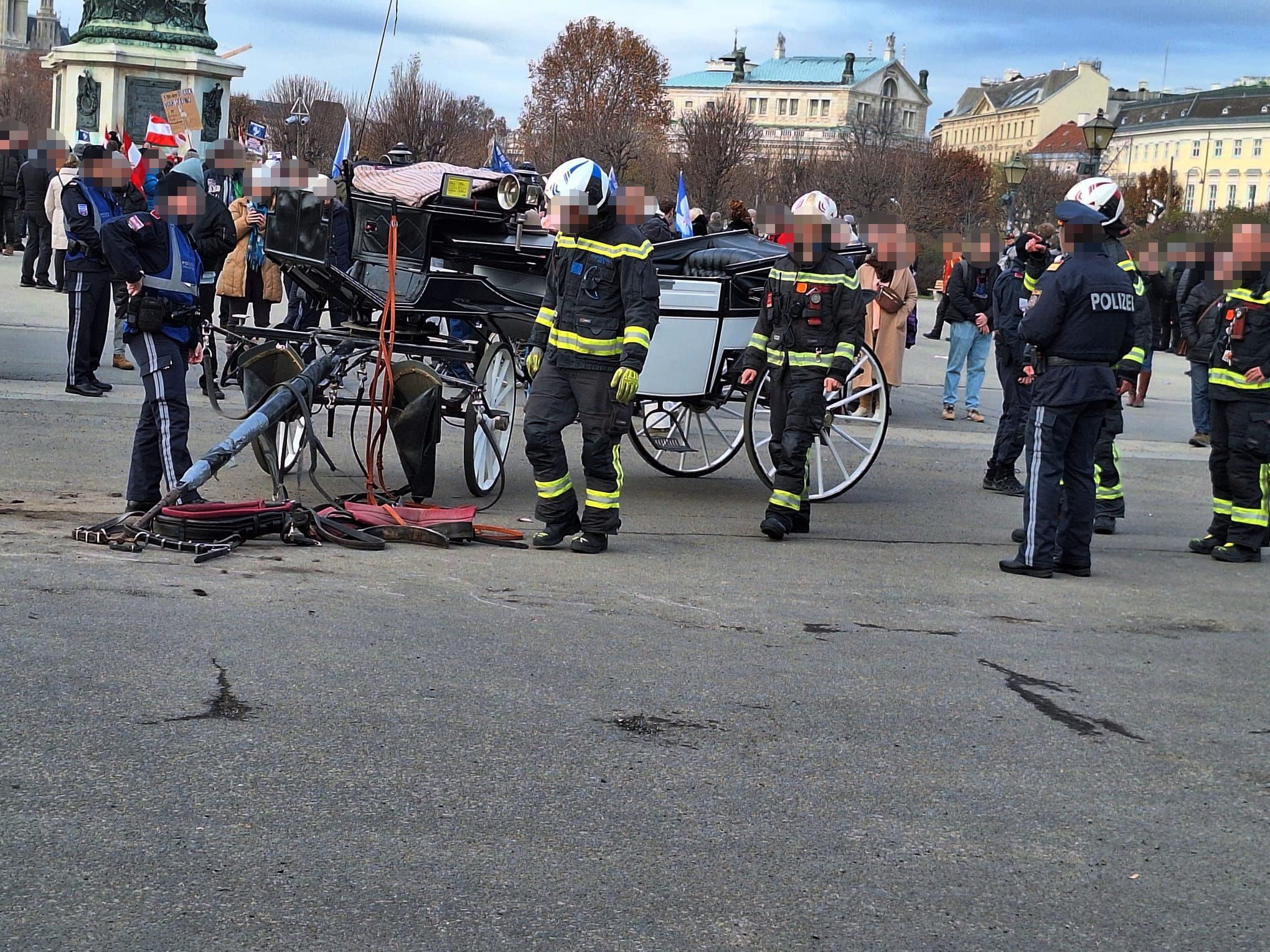 Das Pferd musste von der Feuerwehr aus dem Geschirr geschnitten werden.