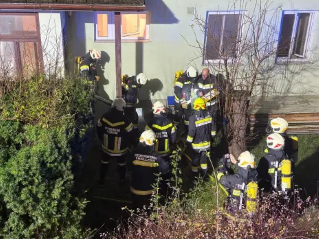 Die Feuerwehren konnten den Brand rasch lösen und die Schildkröte unversehrt retten.