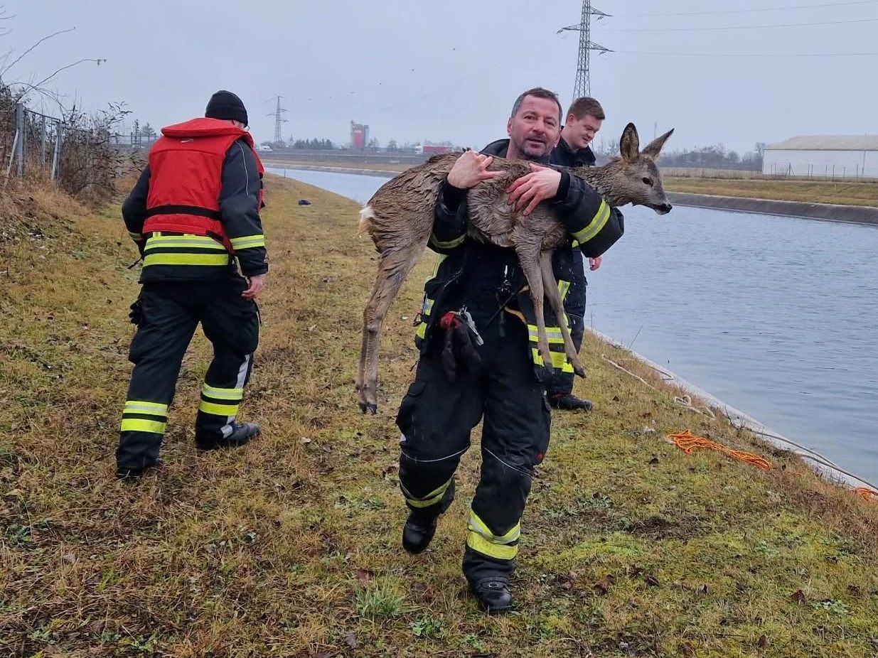 Die Floriani eilten dem Reh zu Hilfe.