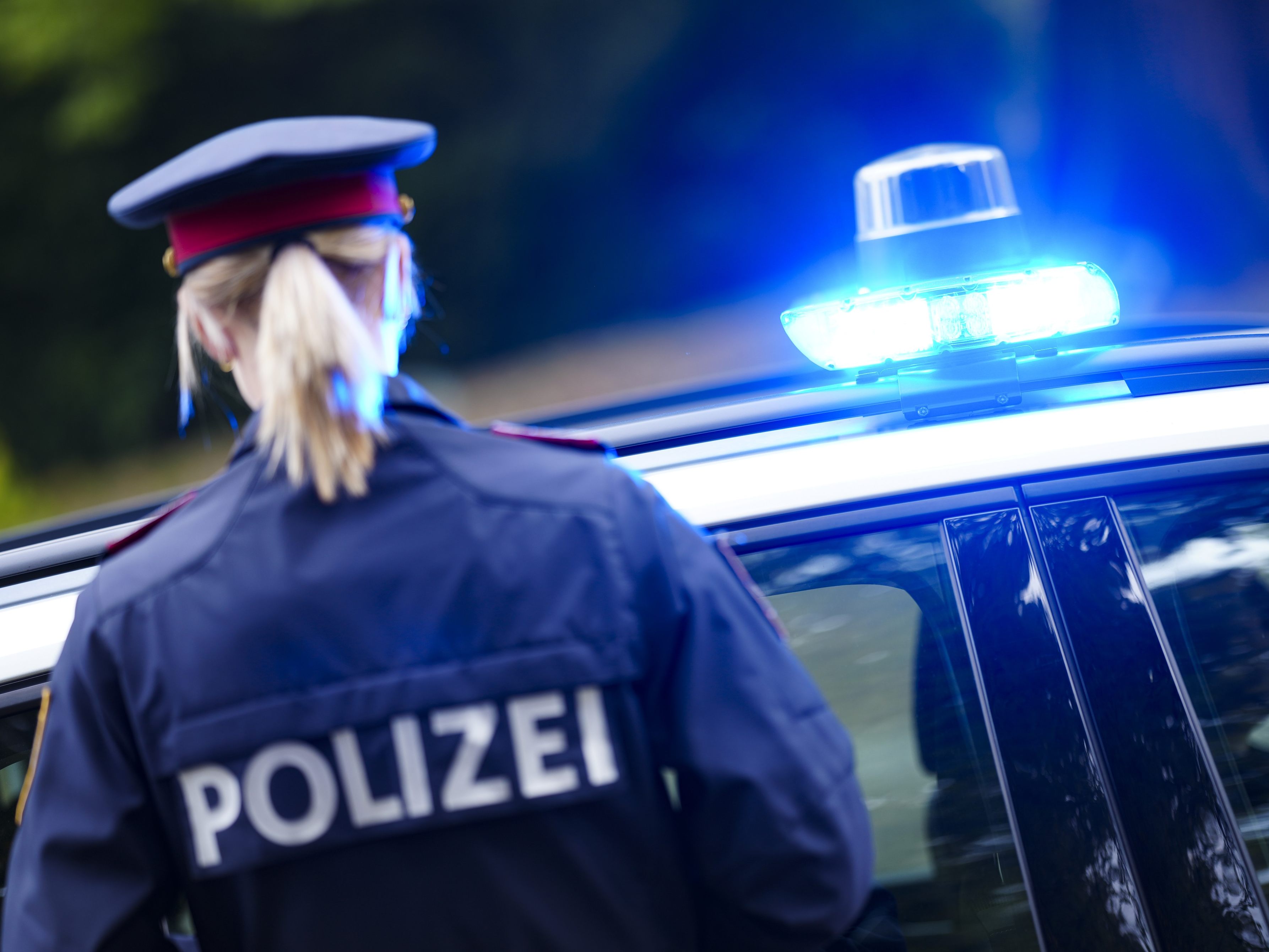 Das Motiv ist Gegenstand von Ermittlungen, die vom Landeskriminalamt Niederösterreich geführt werden.