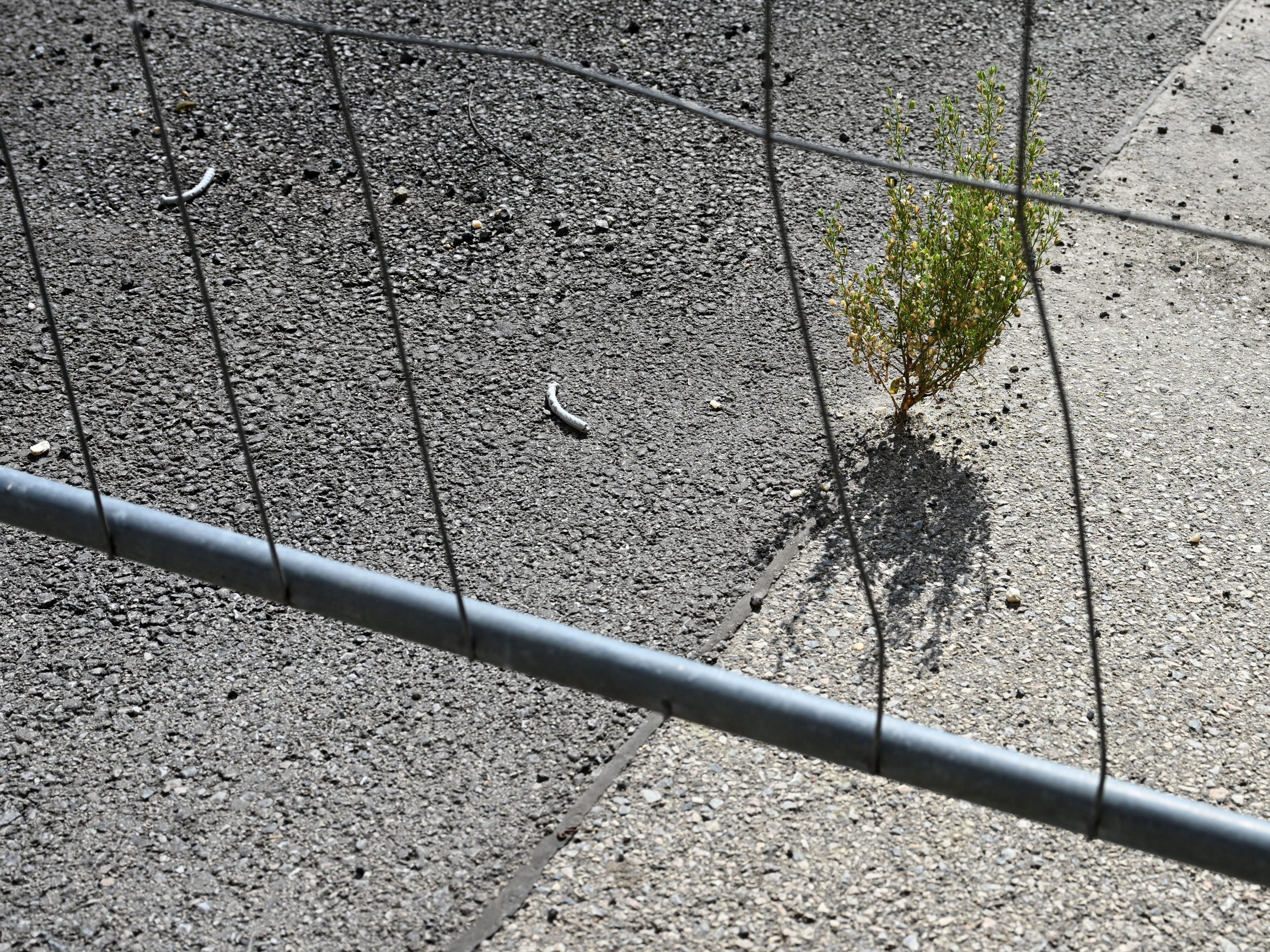 Der Bodenverbrauch in Österreich steigt nicht mehr so stark.