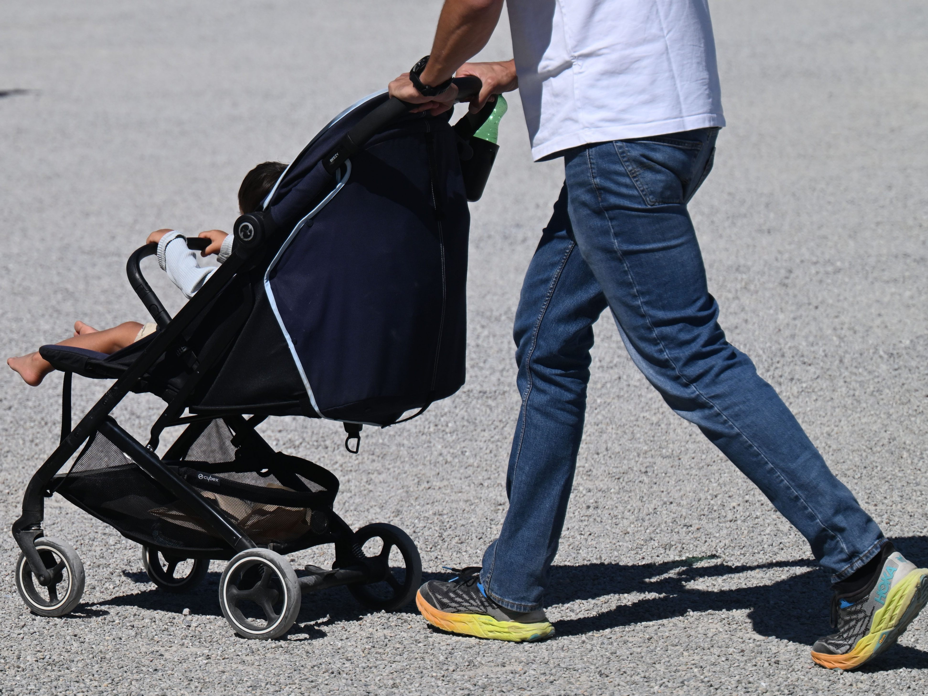 Minus bei Zahl der Geburten.