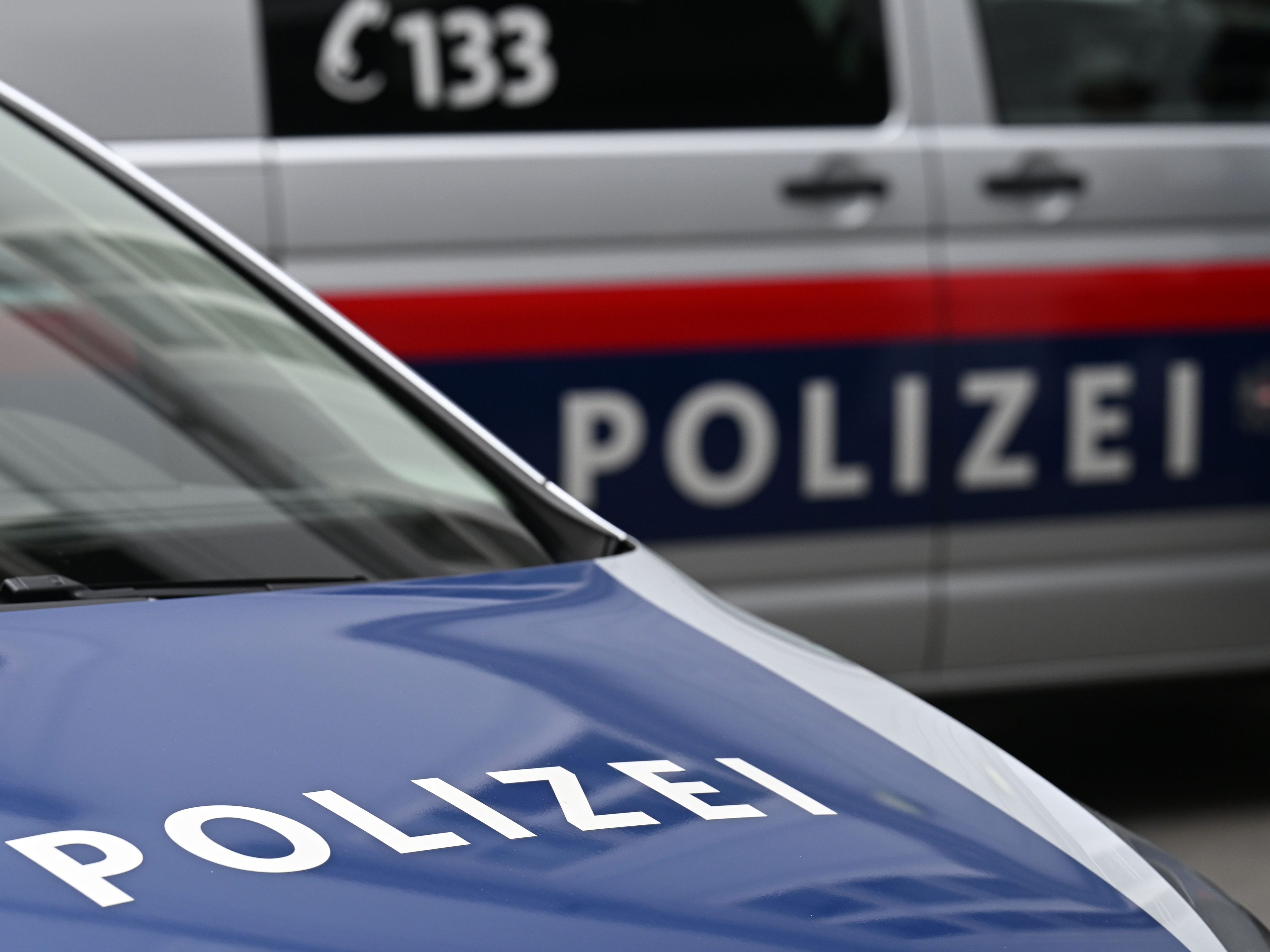 Der 28-Jährige wurde in eine Justizanstalt eingeliefert.