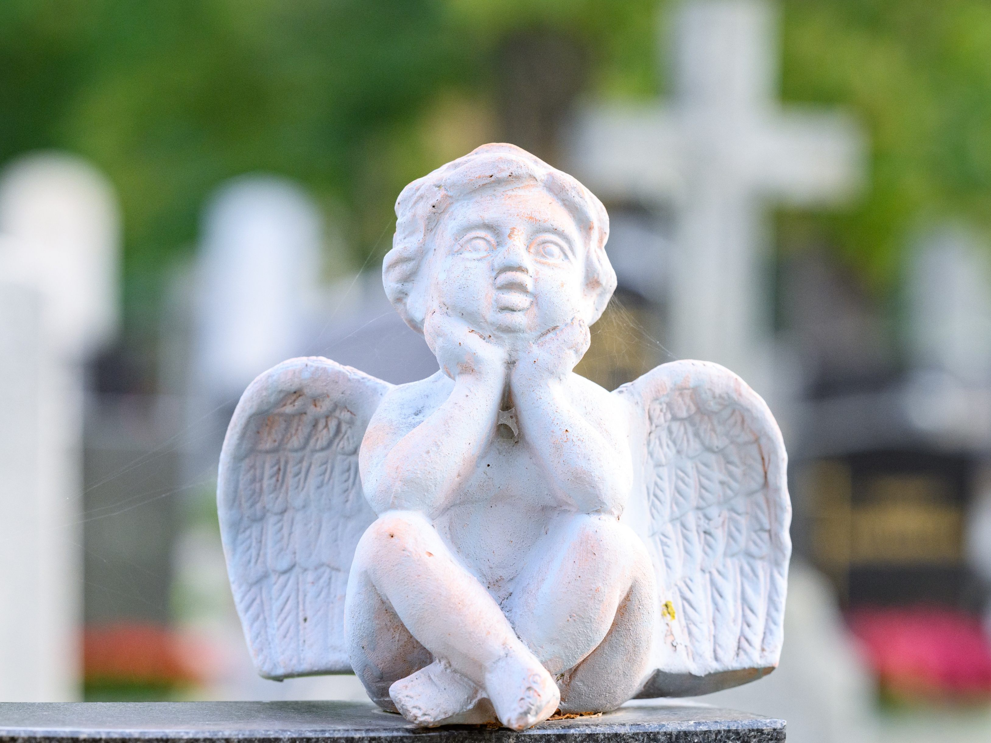 Die sterblichen Überreste von Spiegelgrund-Opfern wurden beigesetzt.