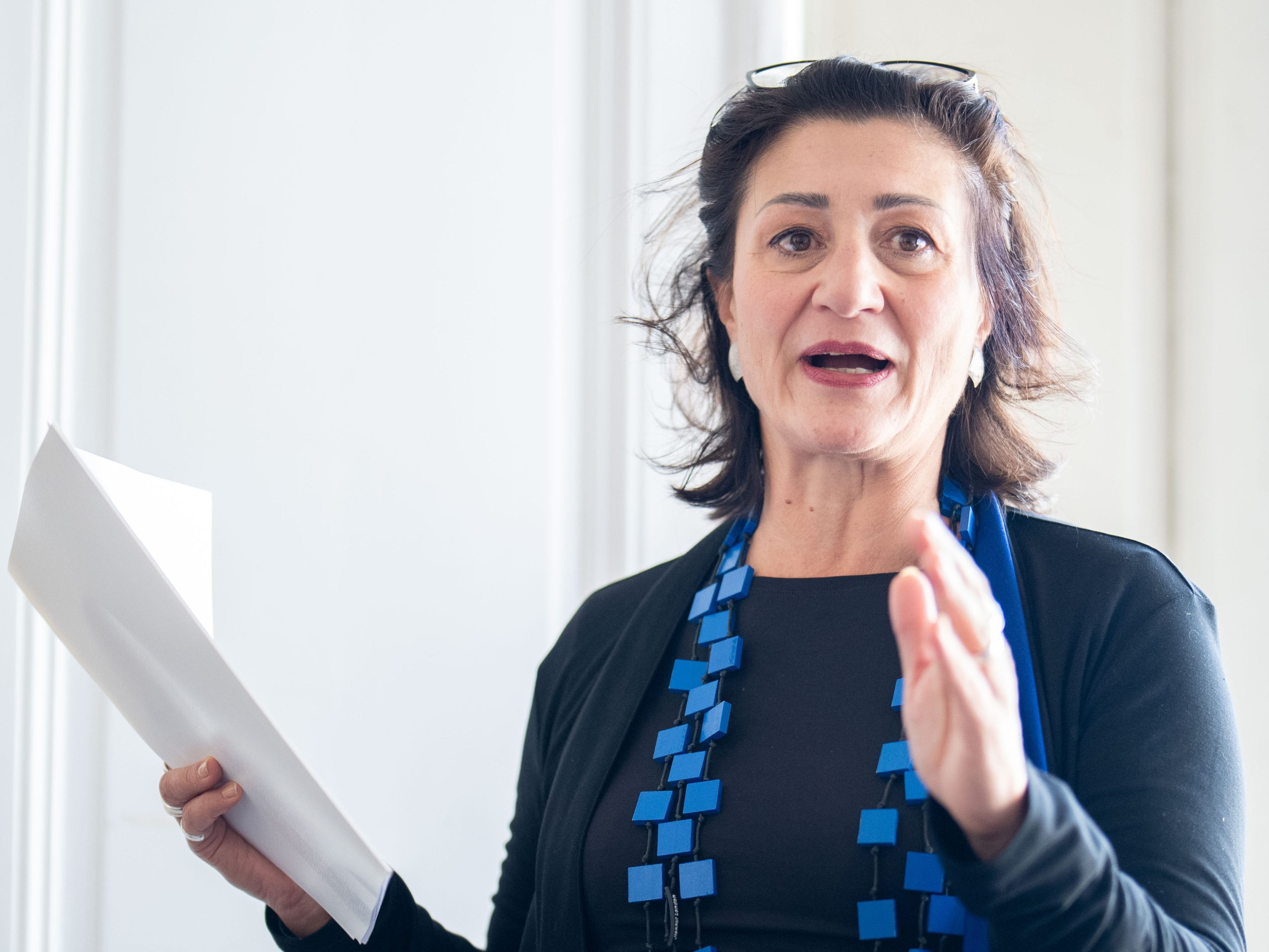 StR. Veronica Kaup-Hasler spricht von einem "blauen Auge" für die Kultur.