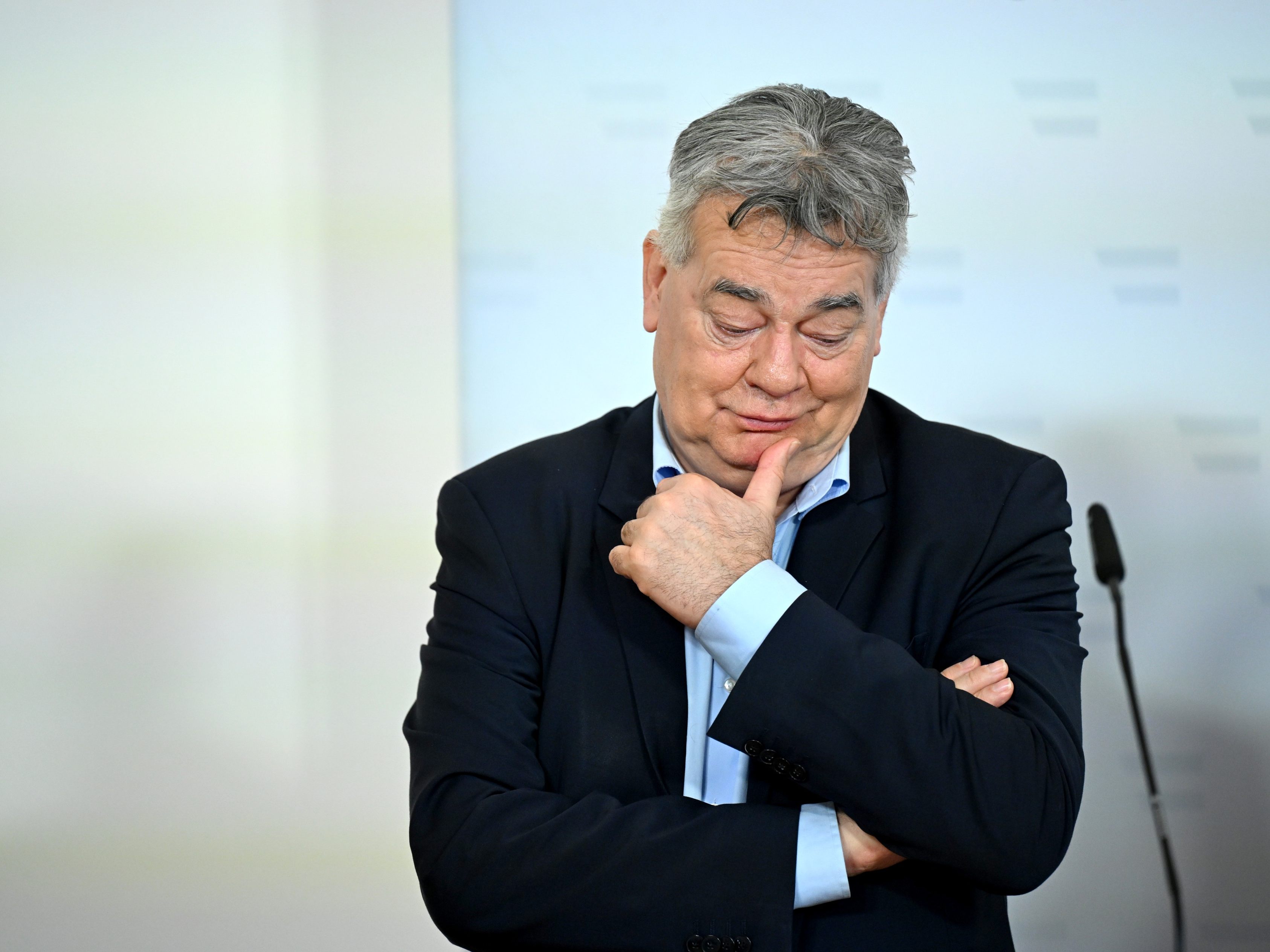 Derzeit kursieren vermehr KI-Videos von Werner Kogler.