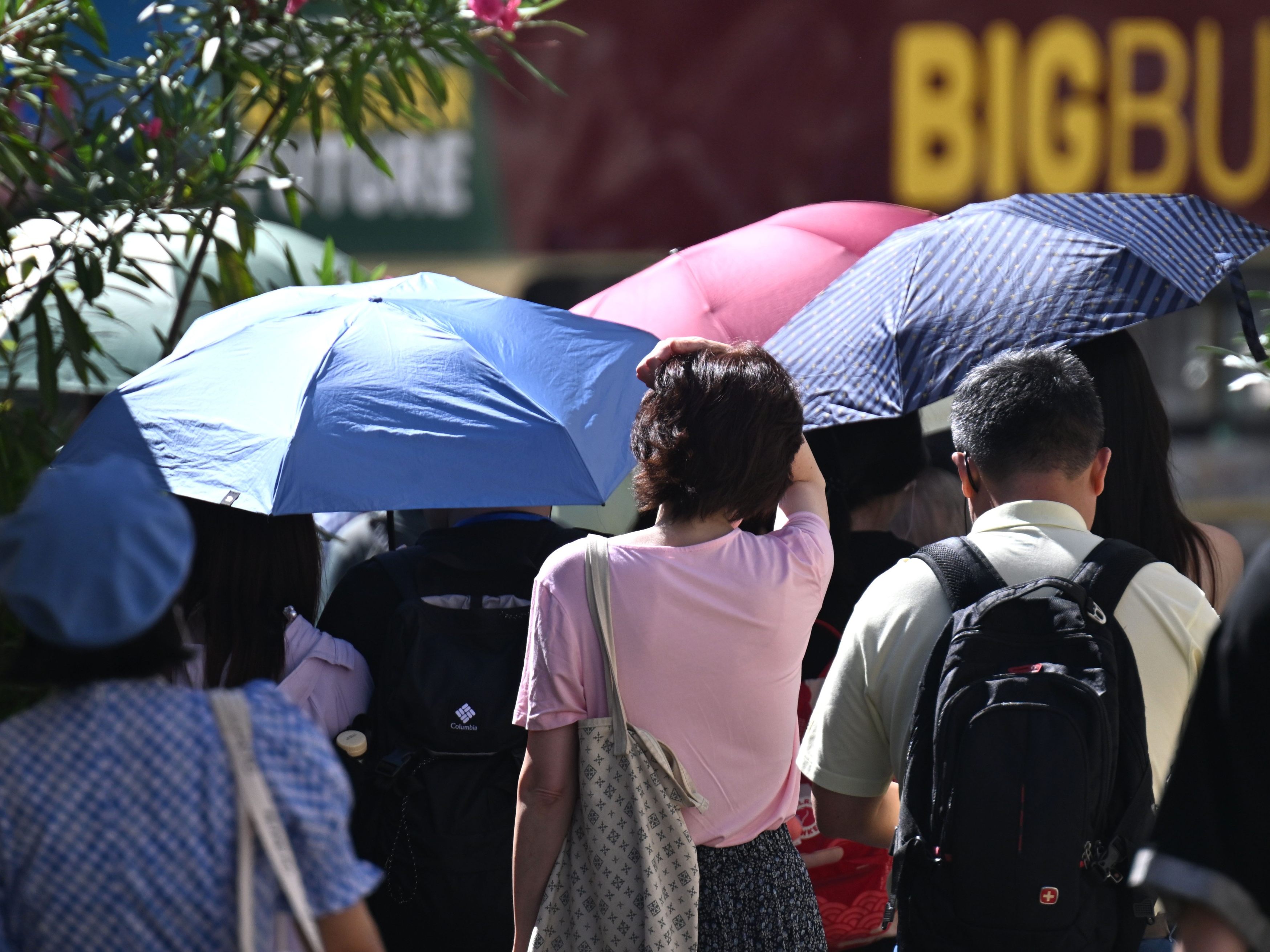 Das Jahr war eines der wärmsten der Messgeschichte.