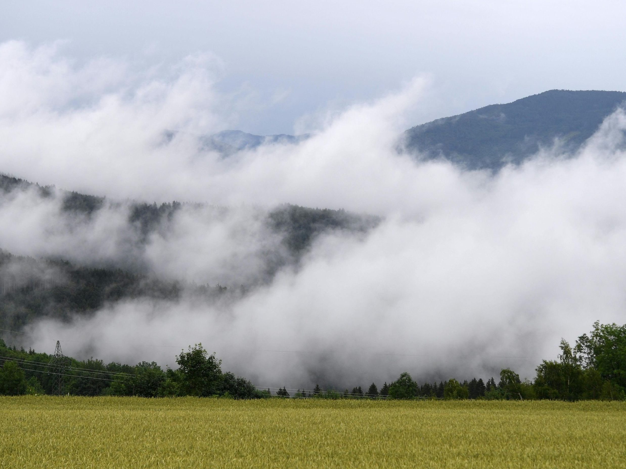 So wird das Wetter in der kommenden Woche.