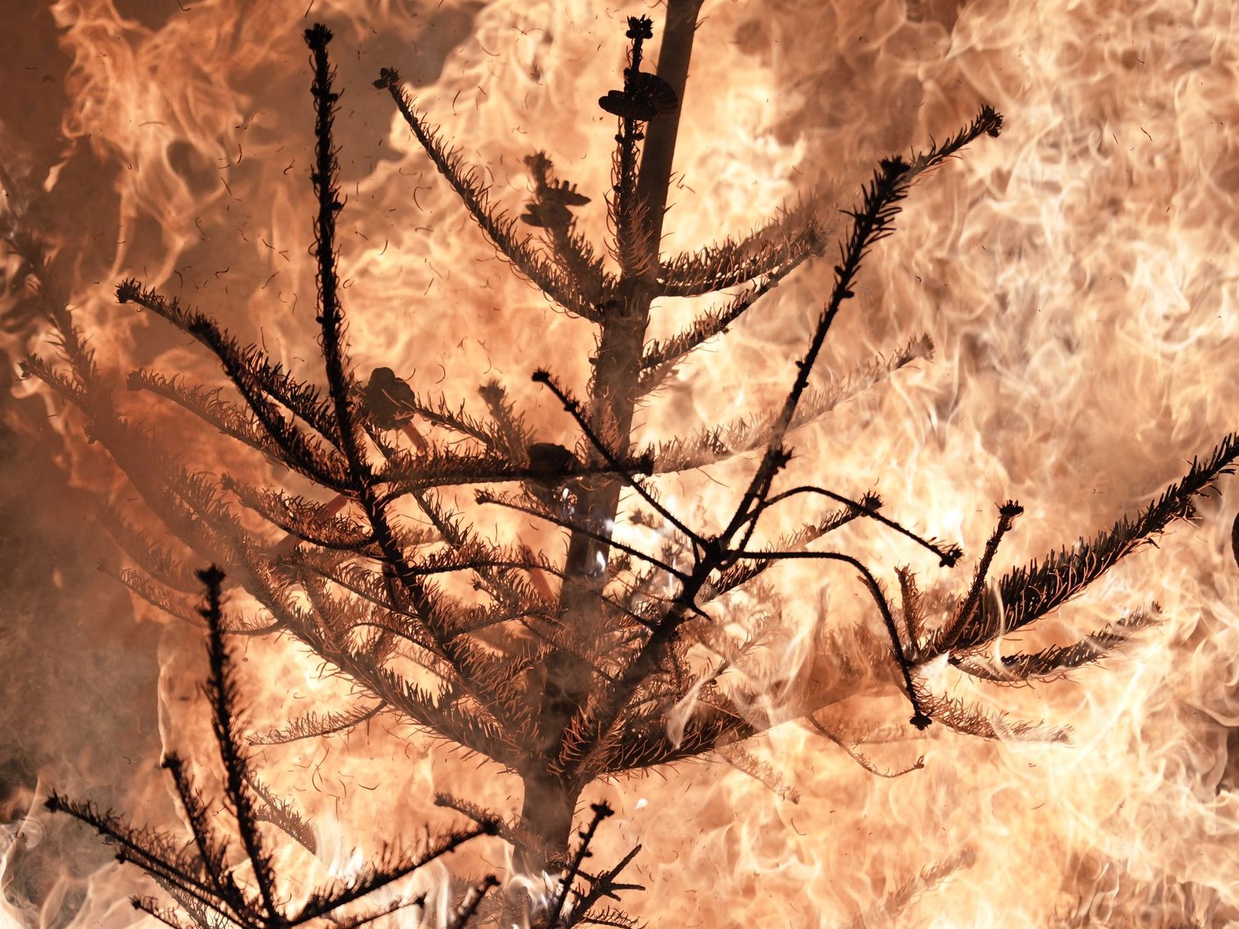 KFV-Studie warnt: Gefährliches Verhalten bei Bränden