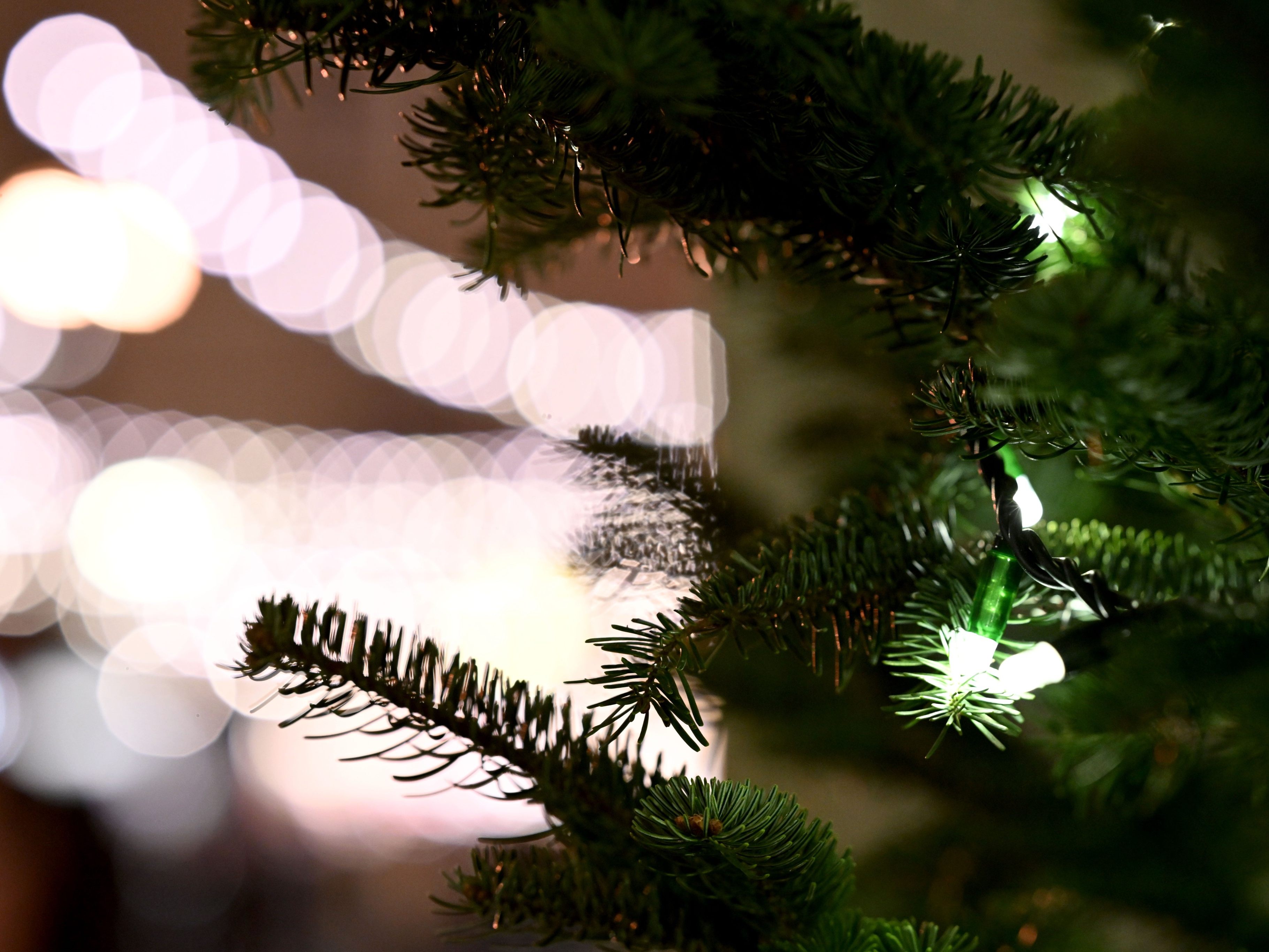 Für viele Menschen in Österreich sind die Feiertage alles andere als eine fröhliche Zeit.