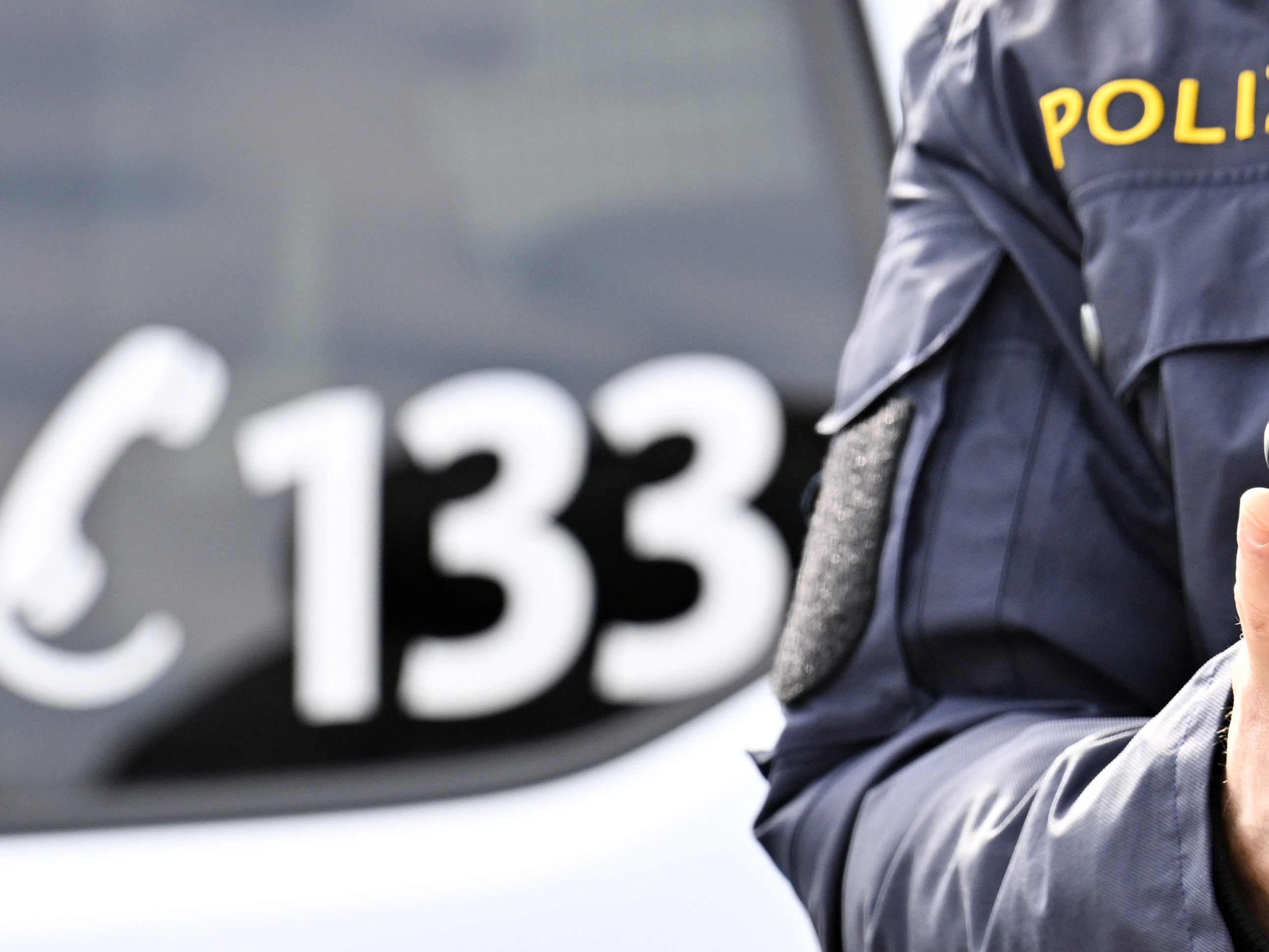 Ein Diebesduo konnte festgenommen werden.