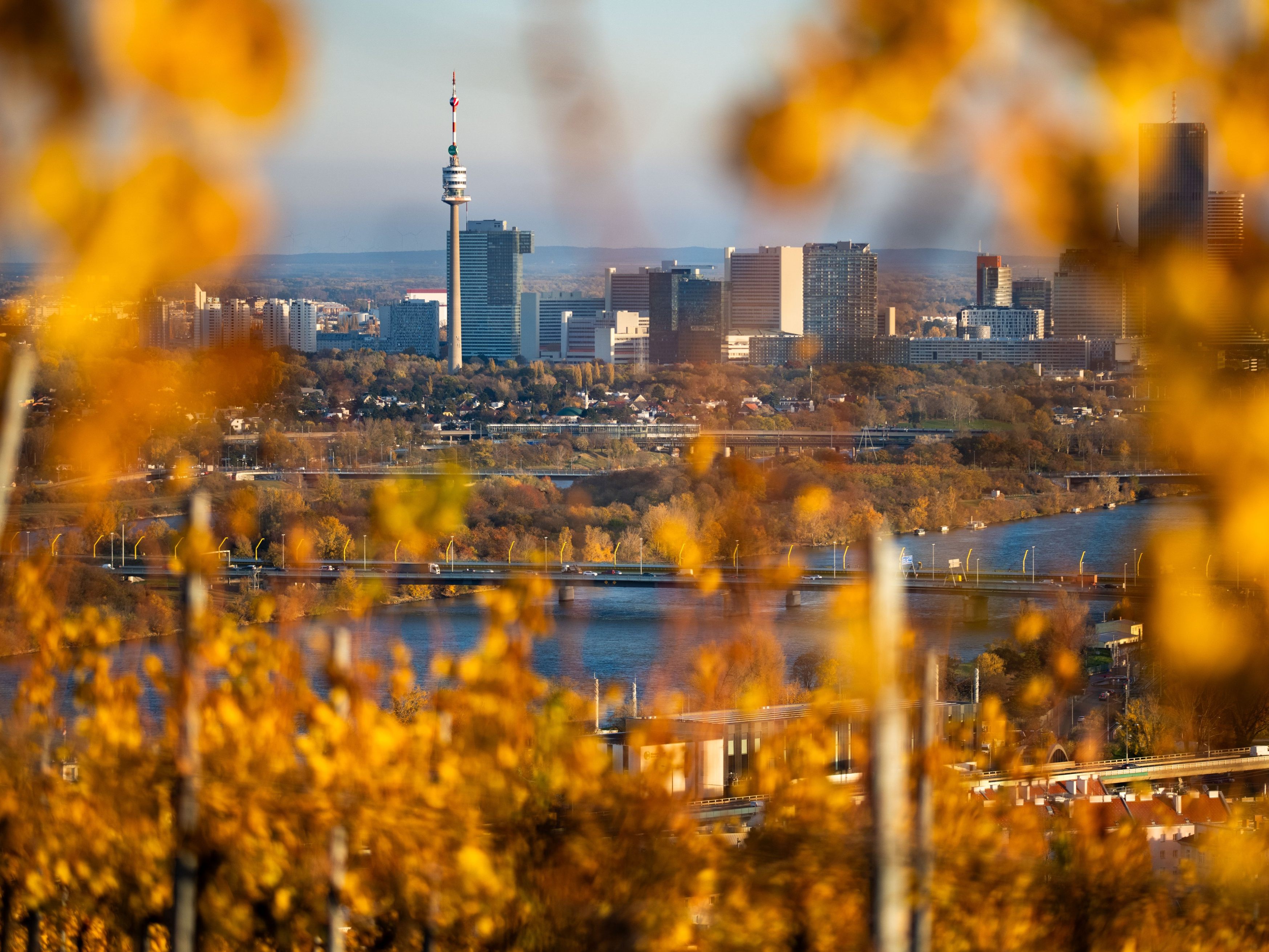 Der Wien-Tourismus lädt das schottische Dorf "Dull" ein.