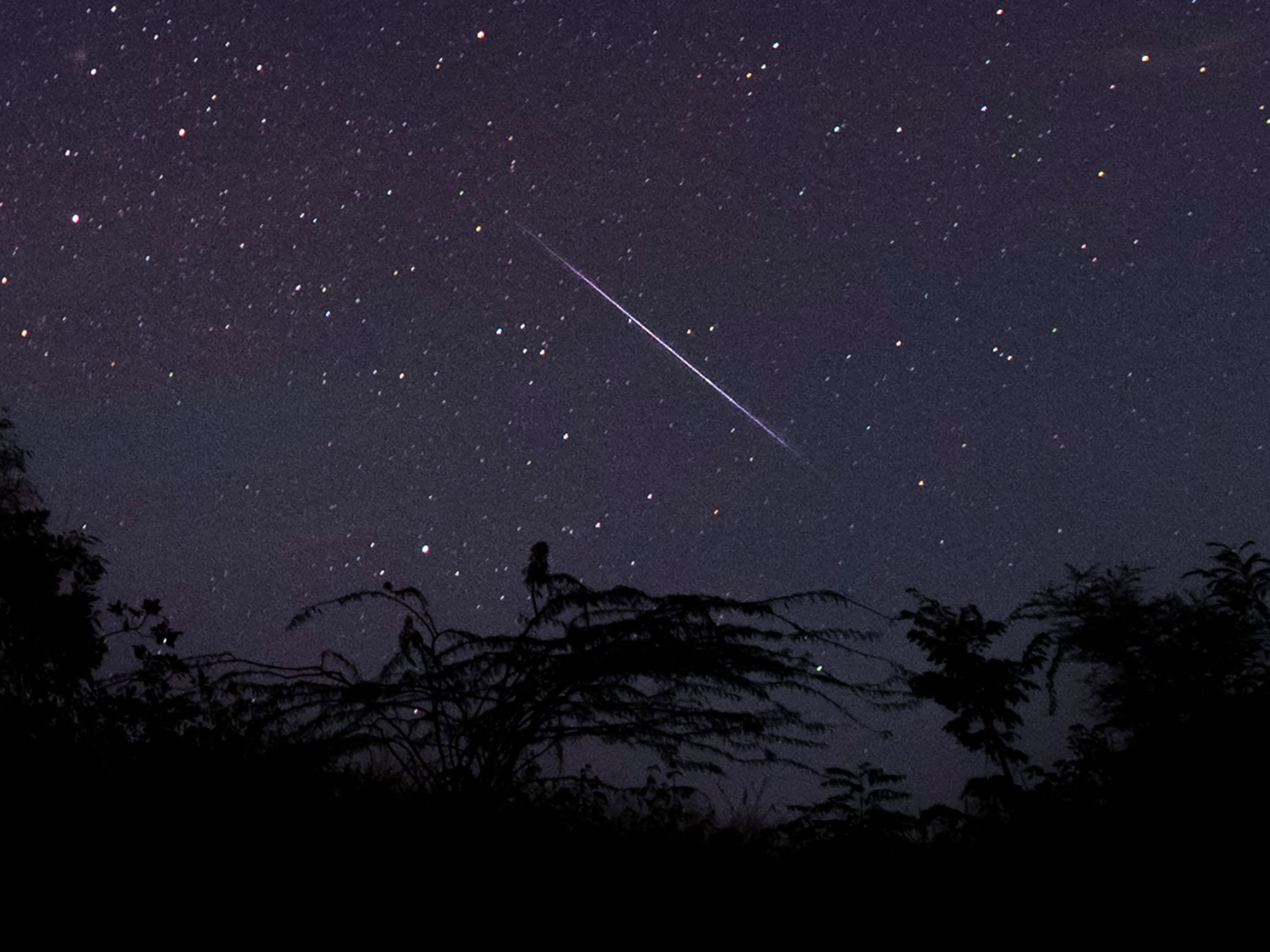 Bis zu 150 Sternschnuppen pro Stunde können gesichtet werden.