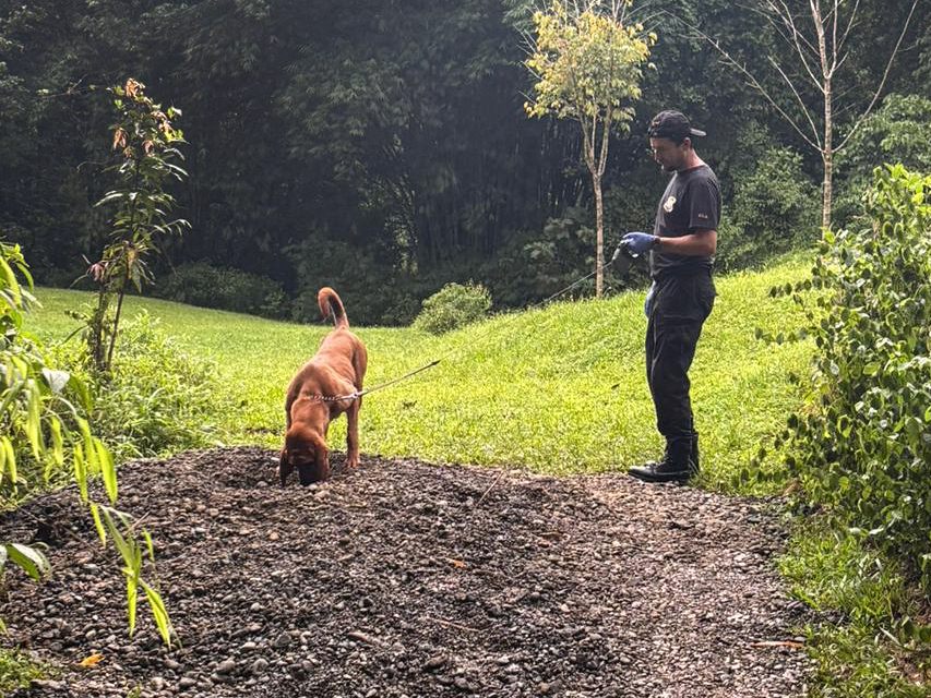 Die Leichen wurden im September auf dem Finca-Grundstück vergraben gefunden.