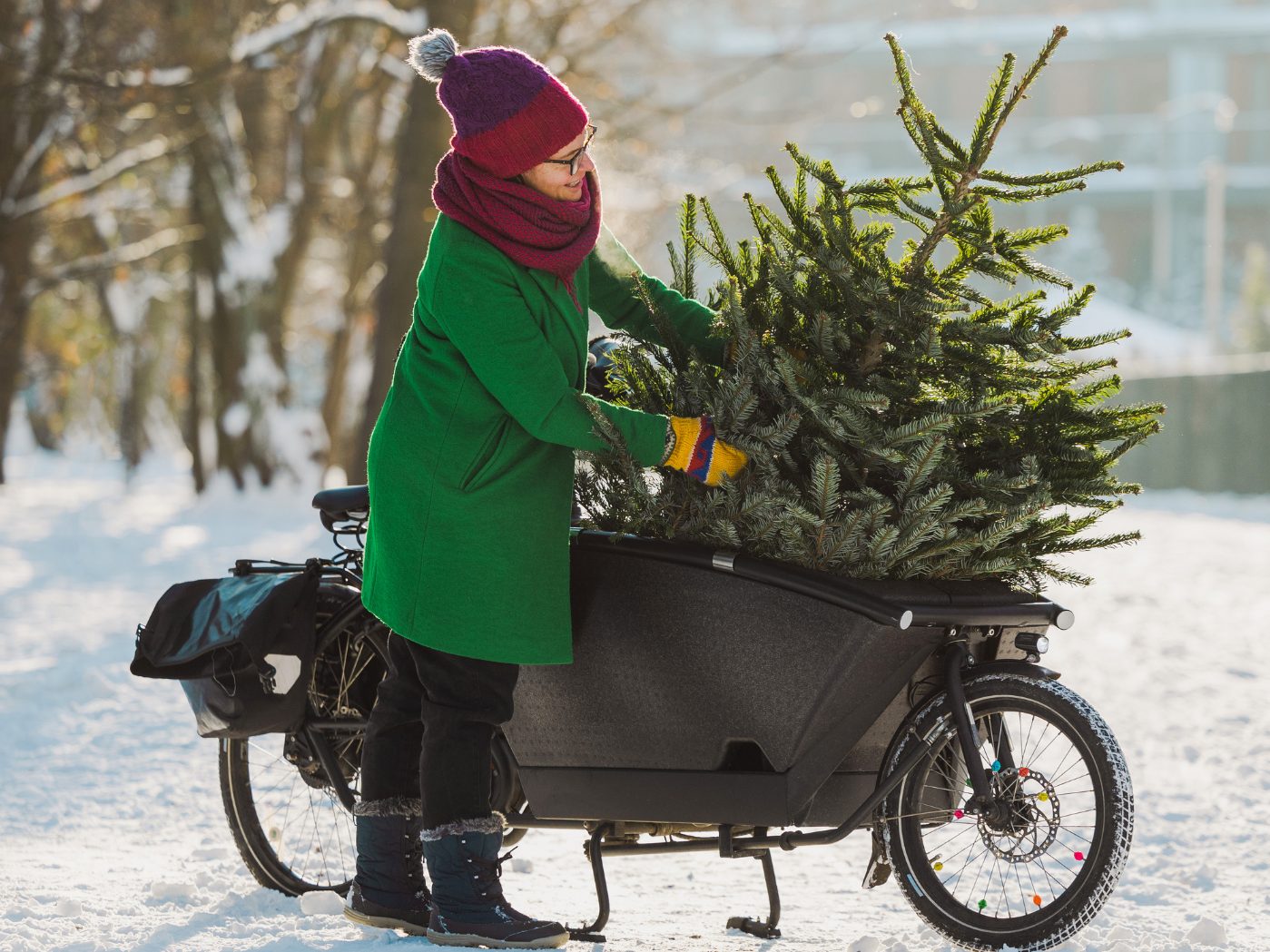 So gelingt der sichere Christbaum-Transport.