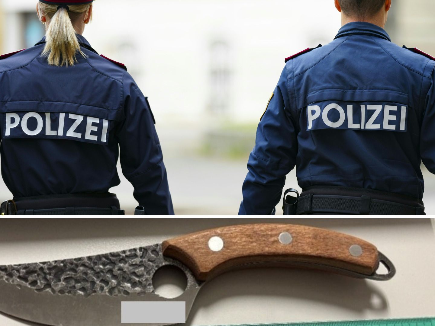 Die Exekutive hat am Wiener Bahnhof Grillgasse eine Festnahme durchgeführt.