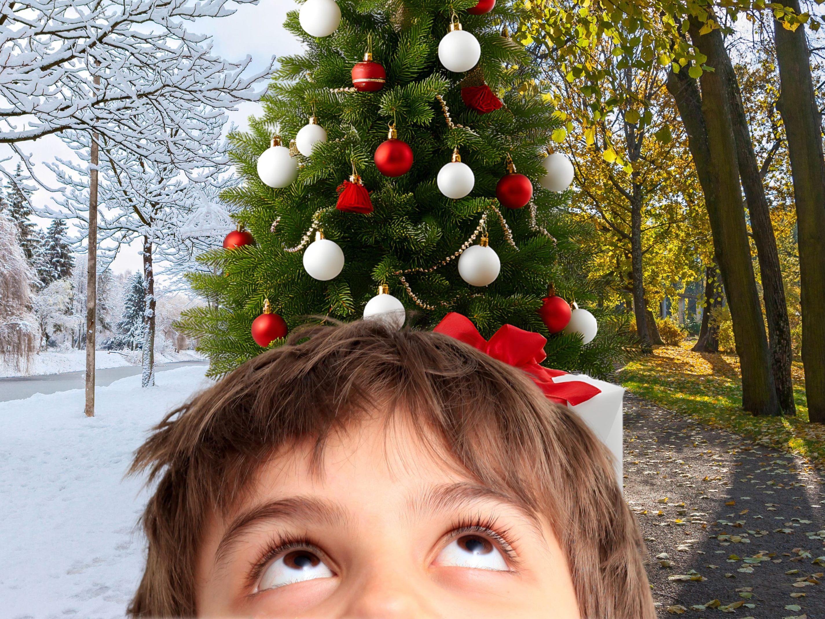 Schnee zum Fest seltener denn je