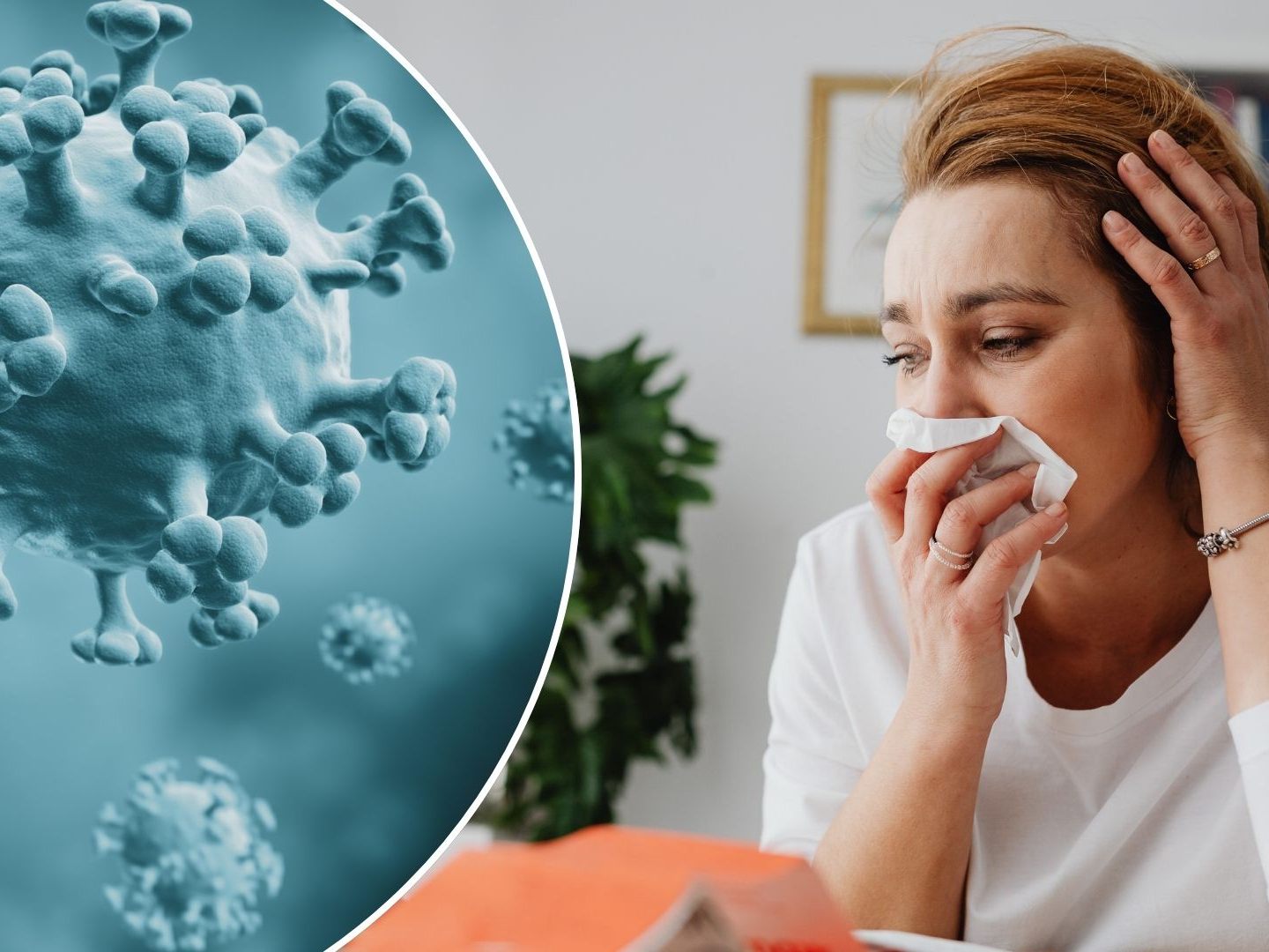 Grippe auf dem Vormarsch (SYMBOLBILD)